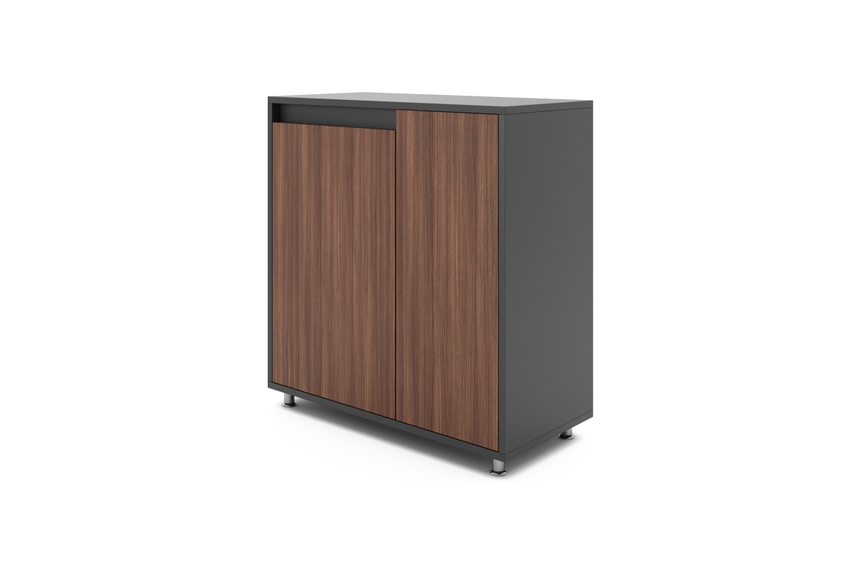 FI SMALL CABINET WITH TWO DOORS