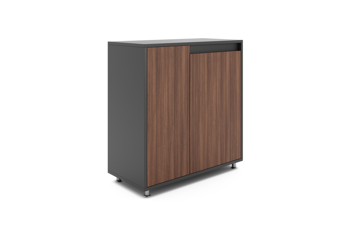 FI SMALL CABINET WITH TWO DOORS