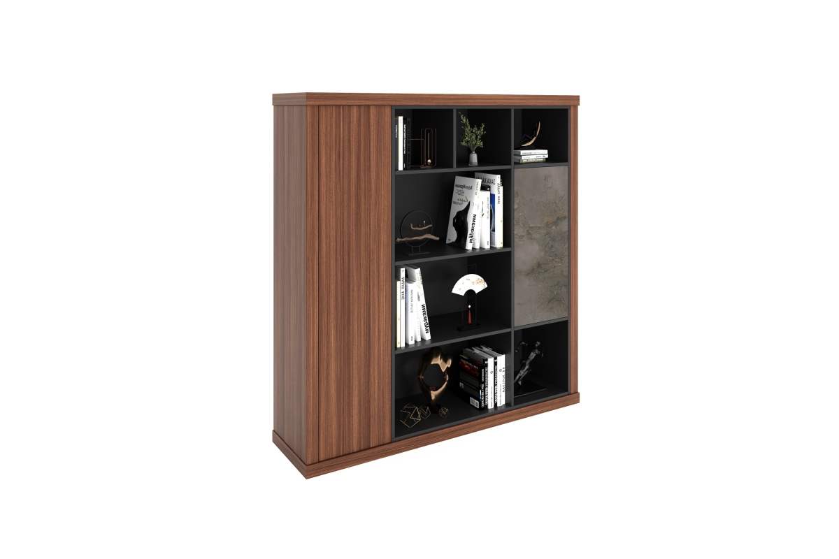 ARAS CABINET MIDDLE