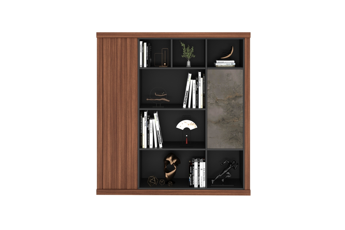 ARAS CABINET MIDDLE