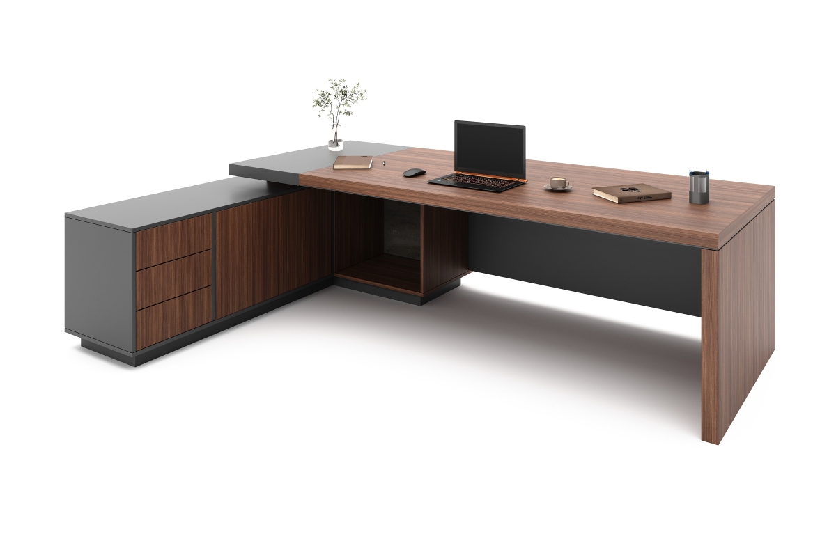 ARAS ENSEMBLE DİRECTİON