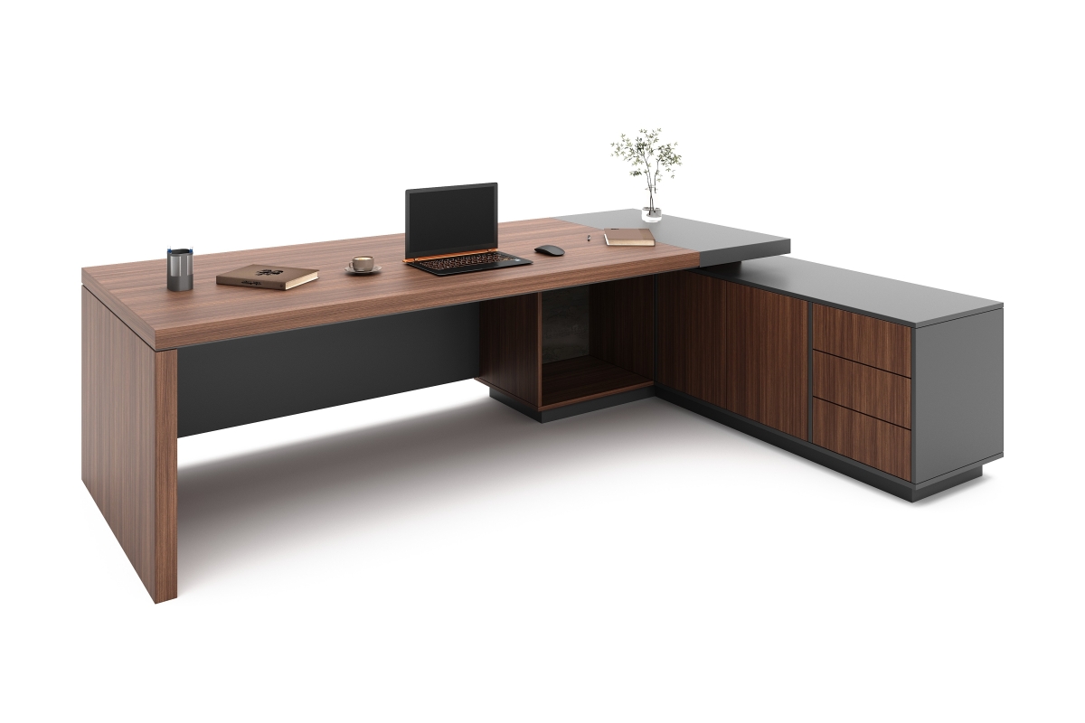 ARAS ENSEMBLE DİRECTİON