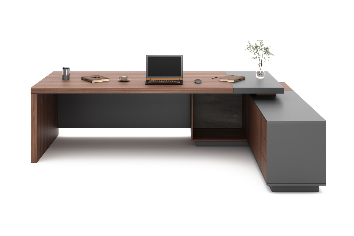 ARAS ENSEMBLE DİRECTİON