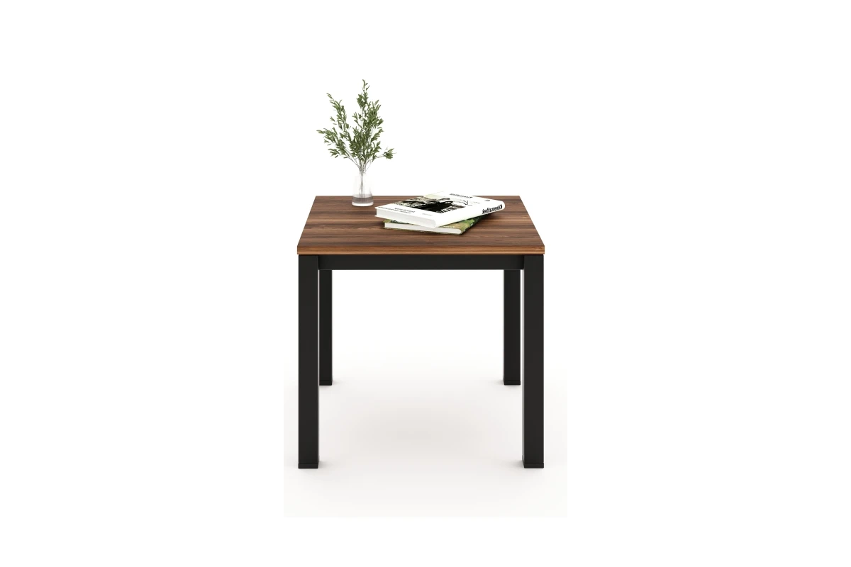 TABLE BASSE ARTIX