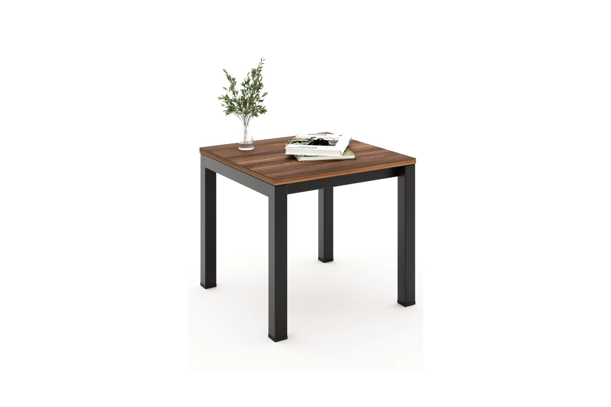 Table Basse Artıx