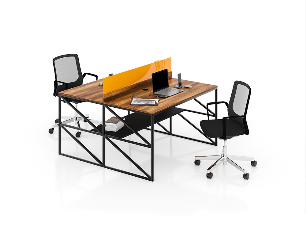 BASIC 2 PERSON WORKSTATION DESK