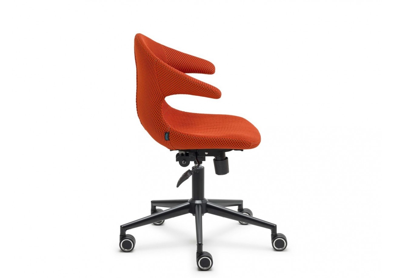 BLL - 02 (BU 3712)