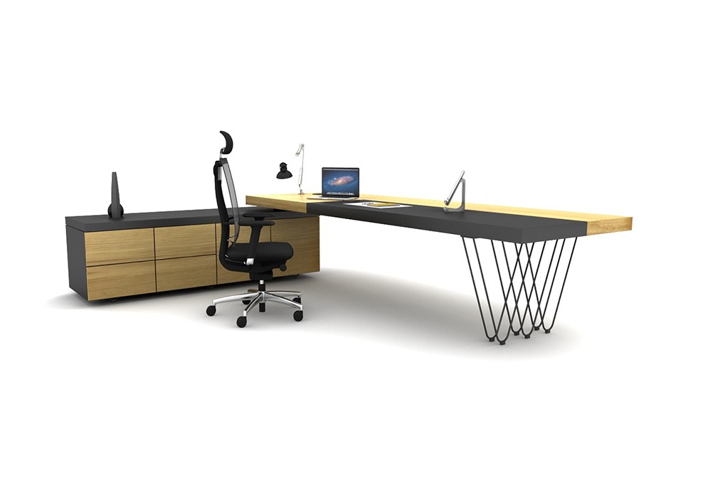 OLGA BUREAU DE DIRECTION