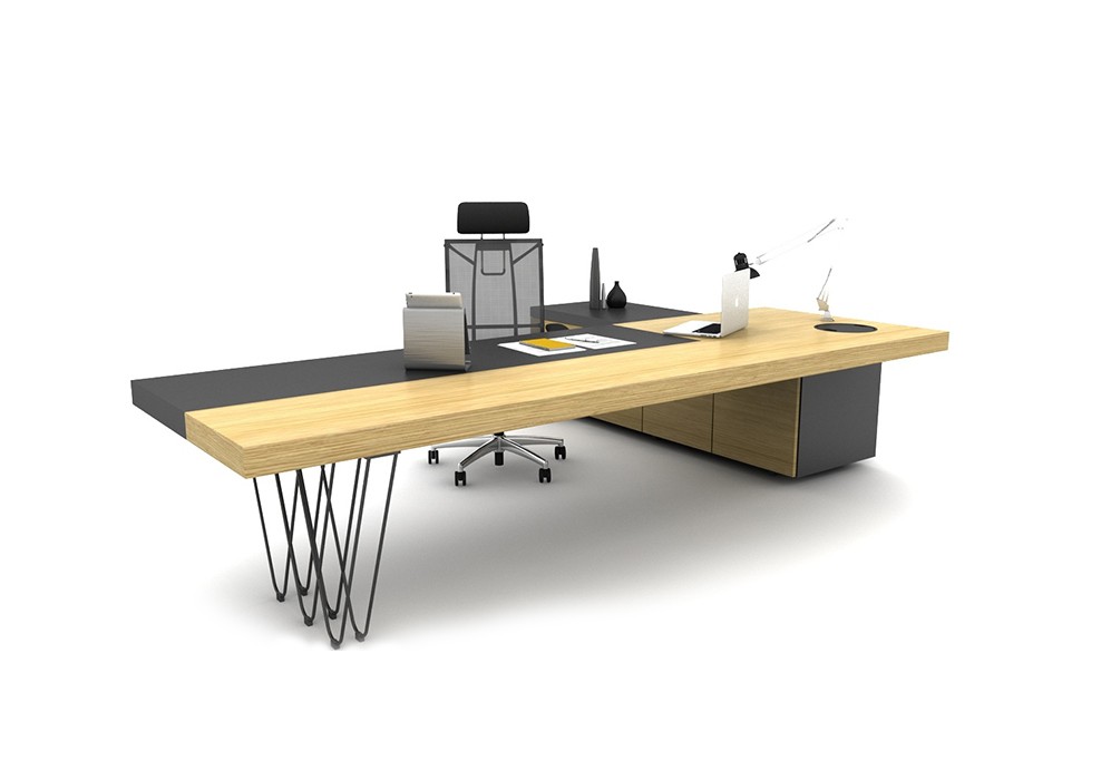 OLGA BUREAU DE DIRECTION