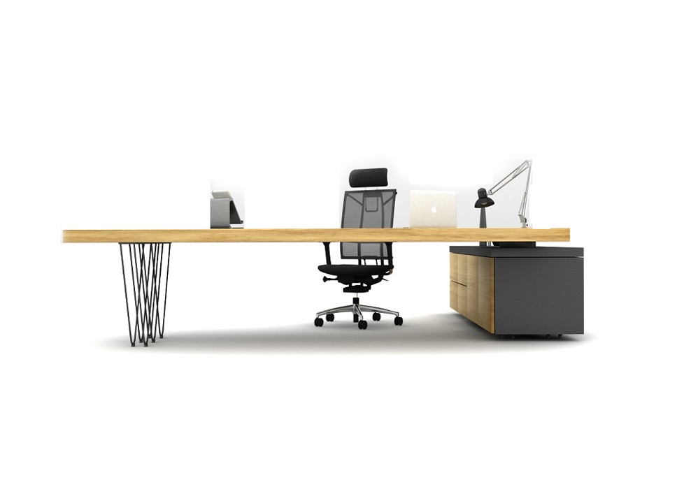 OLGA BUREAU DE DIRECTION