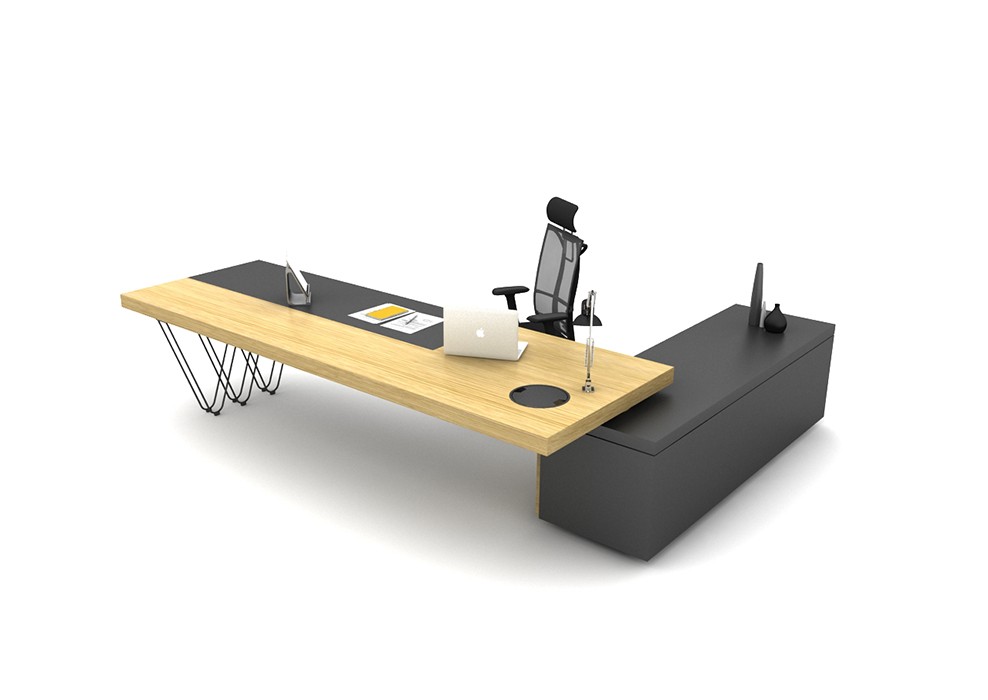 OLGA BUREAU DE DIRECTION