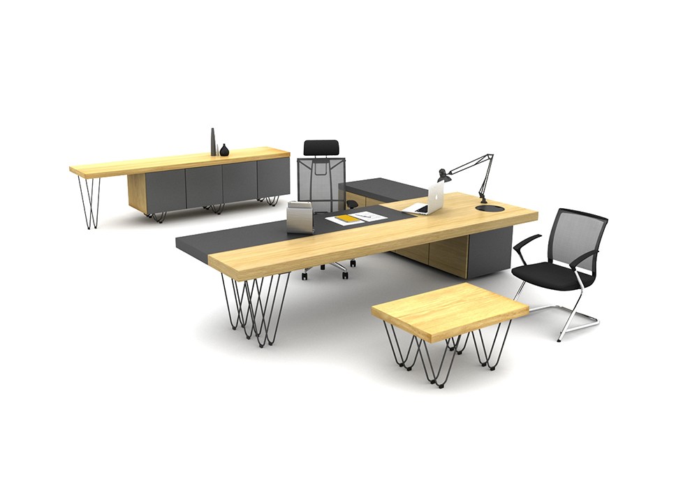 OLGA BUREAU DE DIRECTION