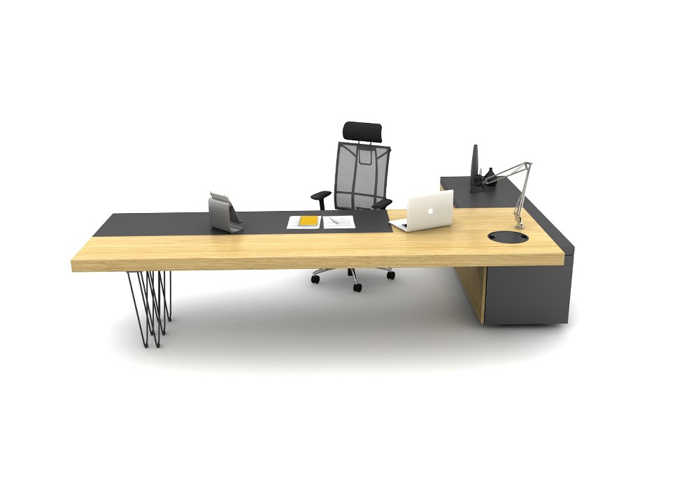 OLGA BUREAU DE DIRECTION