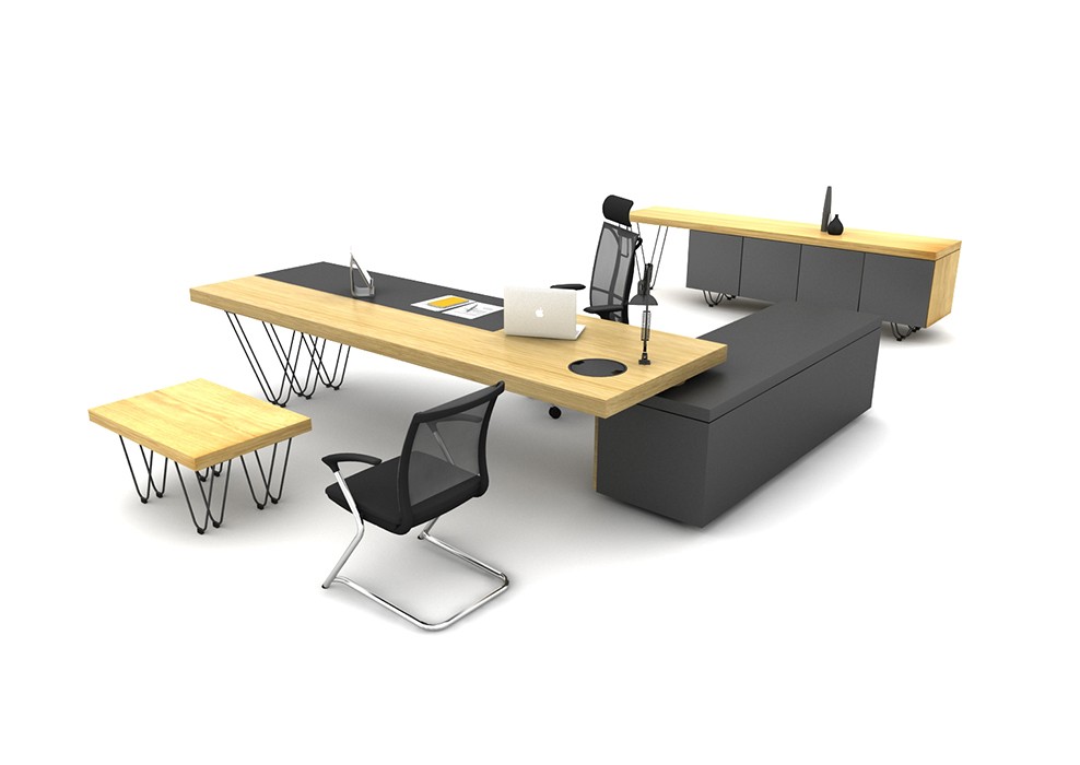 OLGA BUREAU DE DIRECTION