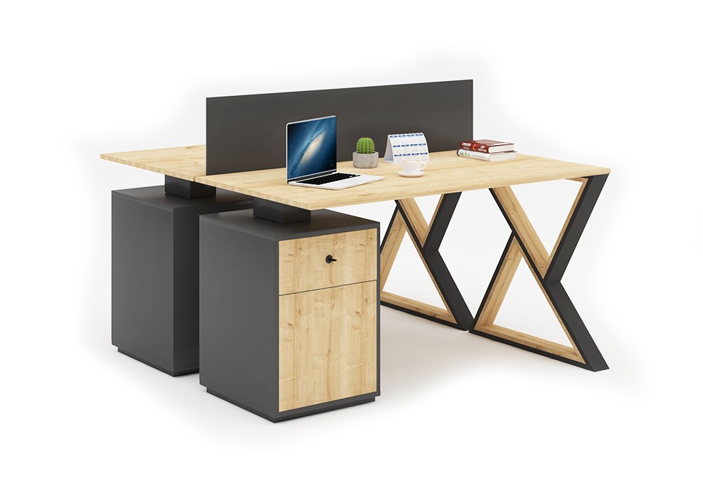 ELF DOUBLE STUDY DESK