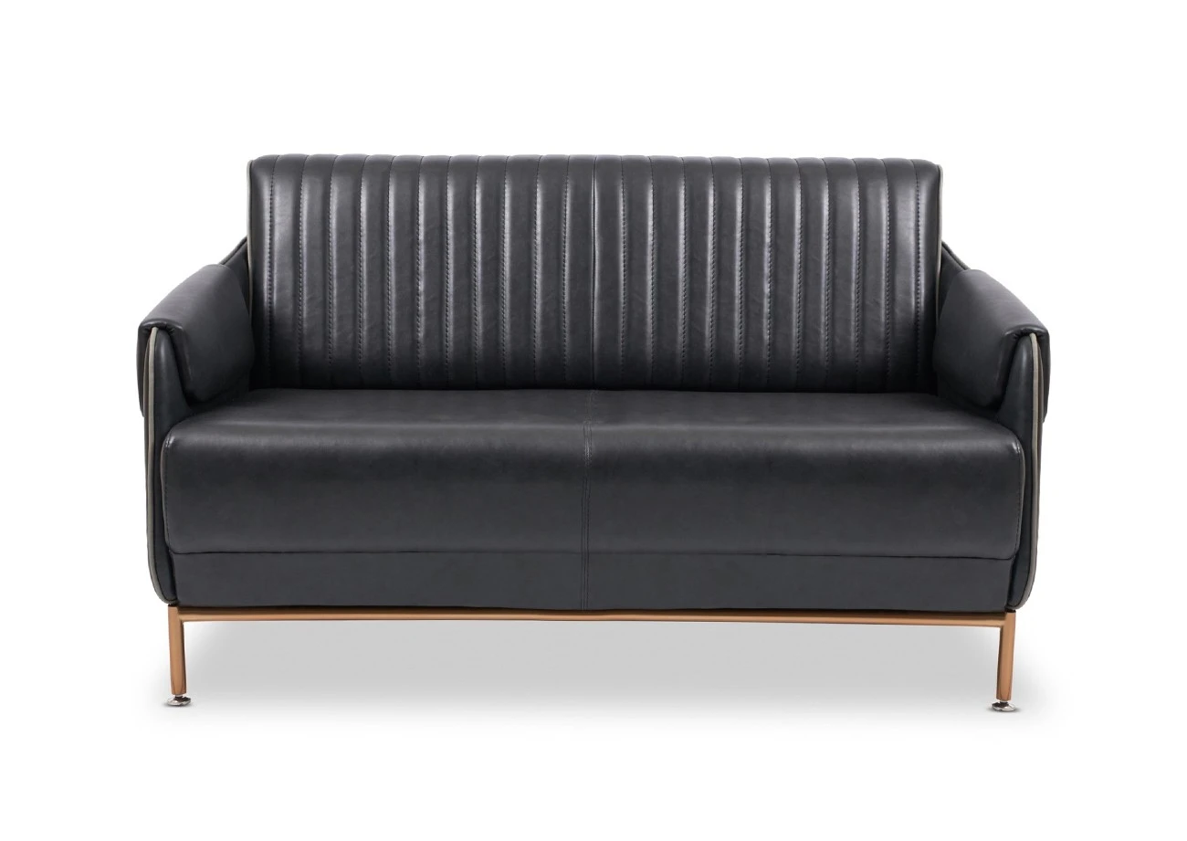 CANAPÉ DOUBLE FLEX FLX-1526