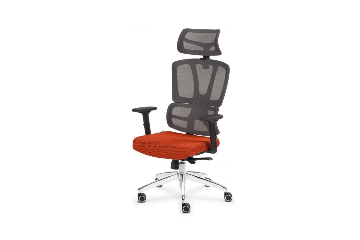 Gnt-02 Hareketli Oturum (Gn 1741 K)