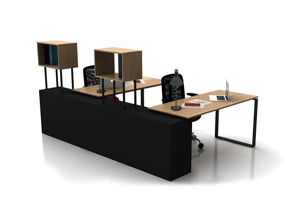 GLASS ORDER 2 PERSON WORKSTATION DESK
