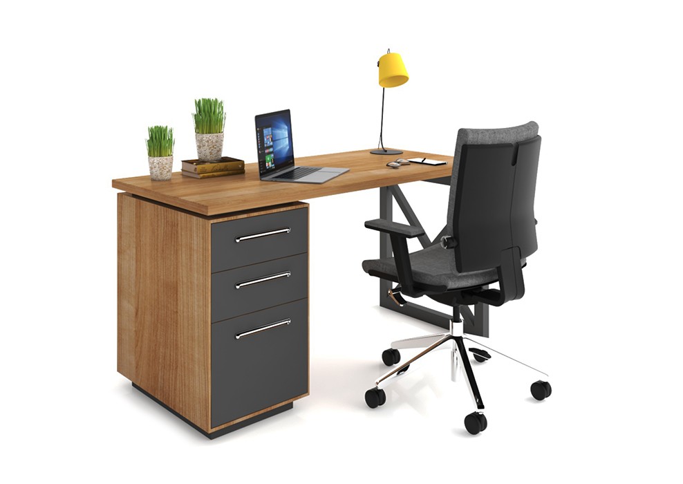 HOME&OFFICE AREX DESK