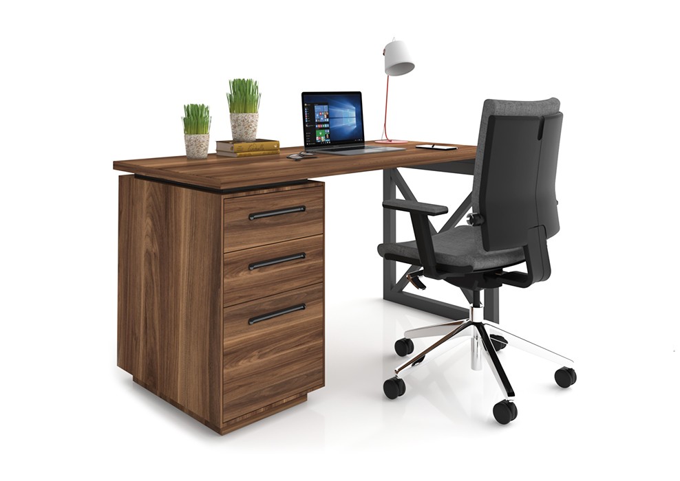 HOME&OFFICE AREX DESK