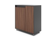 FI SMALL CABINET WITH TWO DOORS