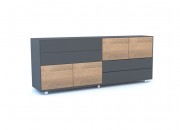 ARCİ CABINET