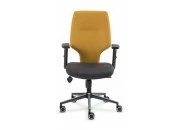 BASIC ÇALIŞMA KOLTUĞU -BS 2432