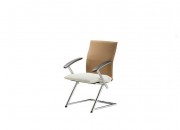 MEETING CHAIRS