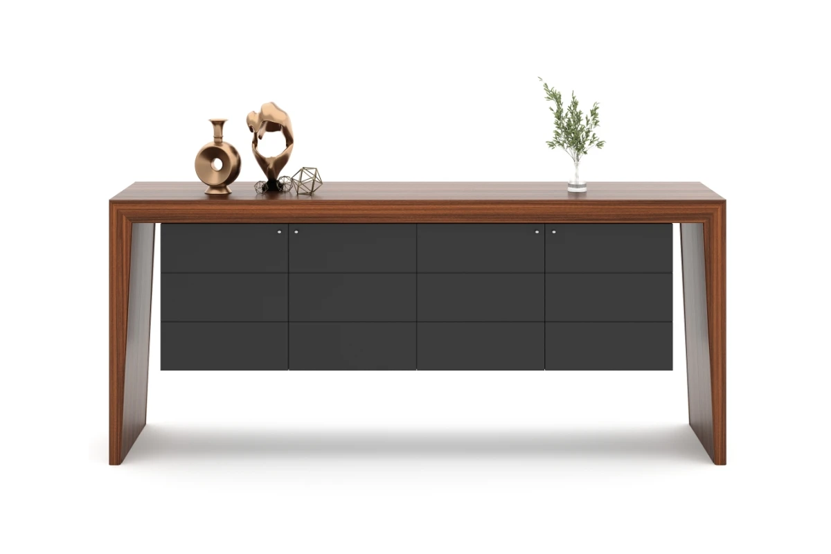 NEW HECTOR CABINET