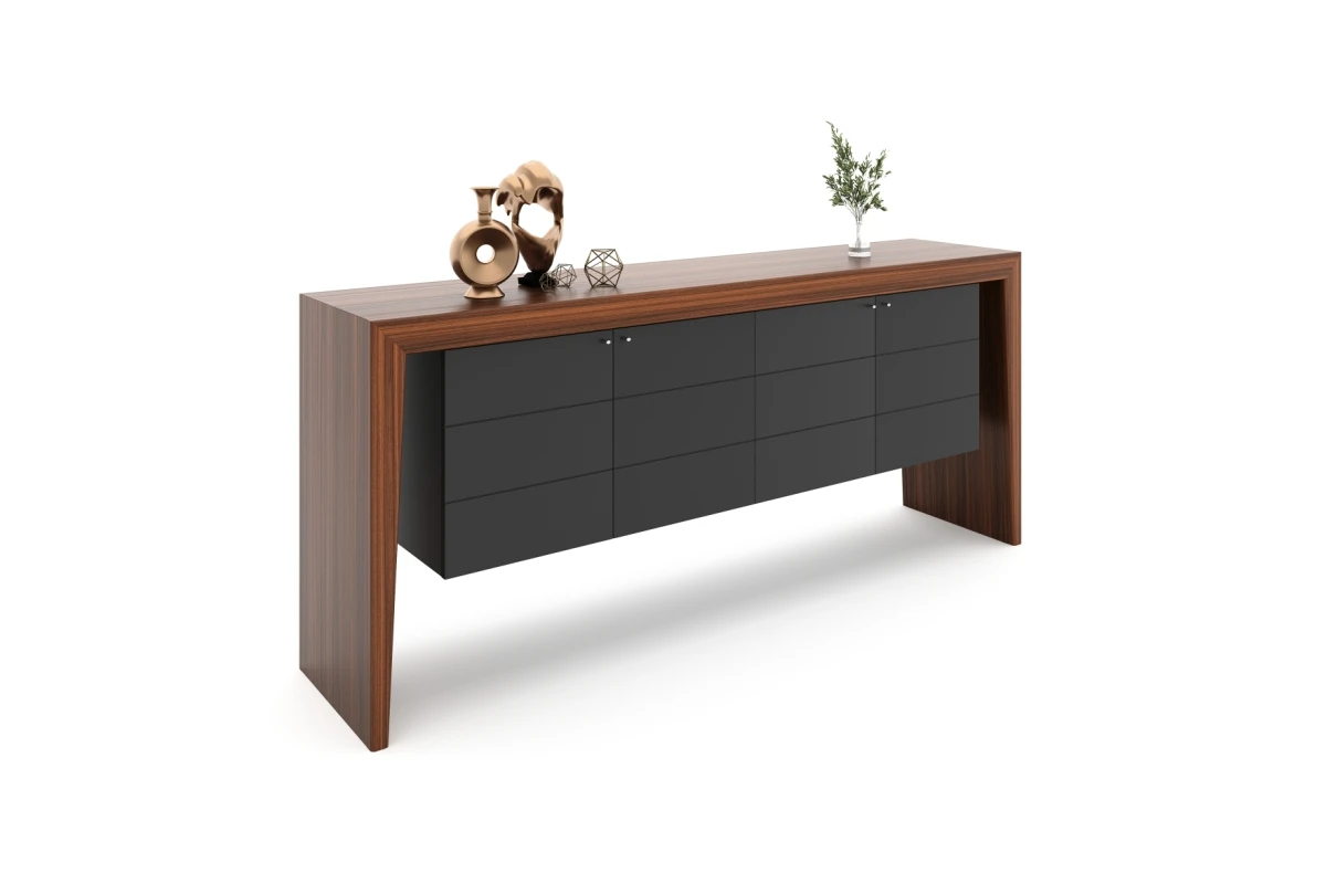 NEW HECTOR CABINET