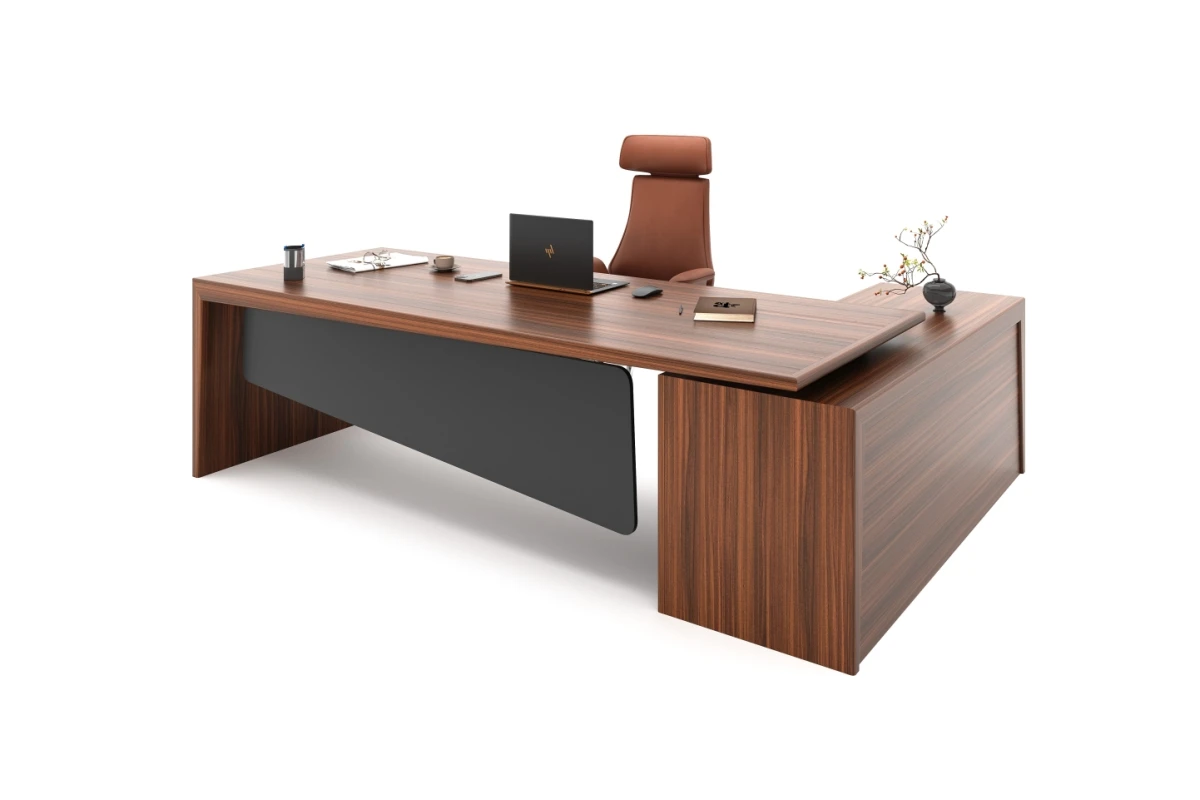 HECTOR BUREAU DE DIRECTION
