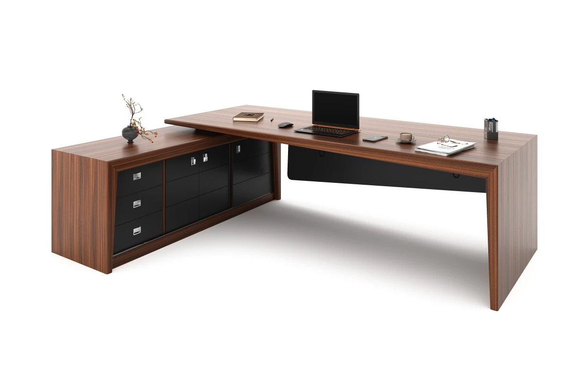 HECTOR BUREAU DE DIRECTION