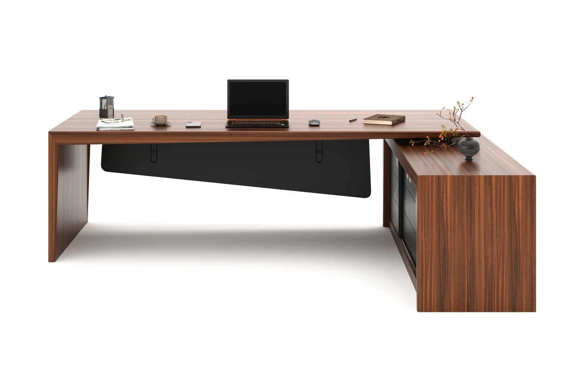 HECTOR BUREAU DE DIRECTION