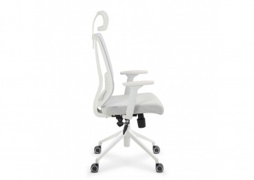 ANKW - 01 (AK 8231)