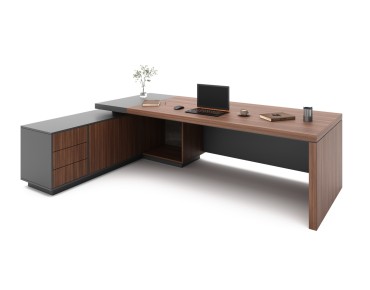 ARAS ENSEMBLE DİRECTİON