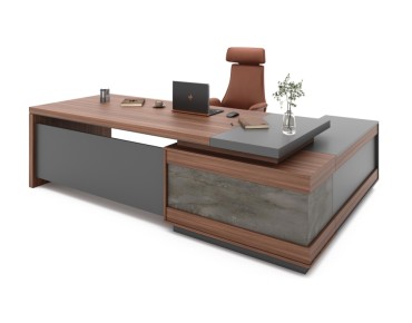 ARAS ENSEMBLE DİRECTİON