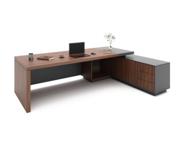 ARAS ENSEMBLE DİRECTİON