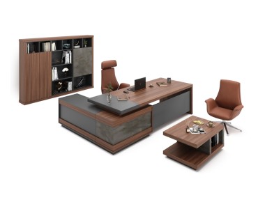 ARAS ENSEMBLE DİRECTİON