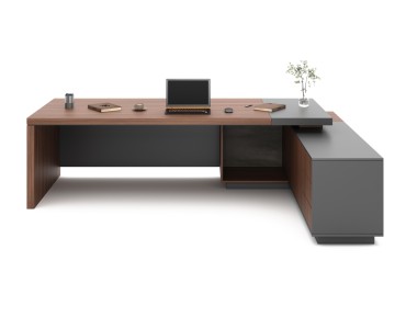 ARAS ENSEMBLE DİRECTİON