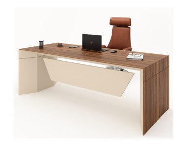 ELYSEE BUREAU DE DIRECTION