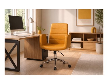 ASIAN STUDY CHAIR - ASY 11 K