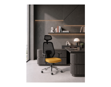 AURA OFFICIAL CHAIR