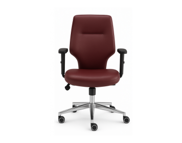 BASIC OFFICE CHAIR - BS 2432 K