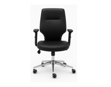 BASIC OFFICE CHAIR - BS 2432 K