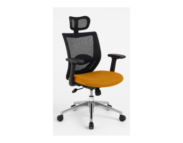 FAUTEUIL DE DIRECTION BOLIZ