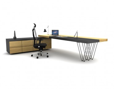 OLGA BUREAU DE DIRECTION