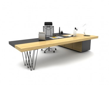 OLGA BUREAU DE DIRECTION