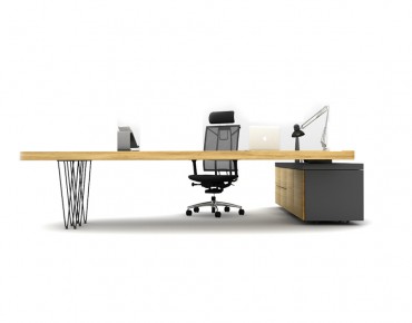 OLGA BUREAU DE DIRECTION