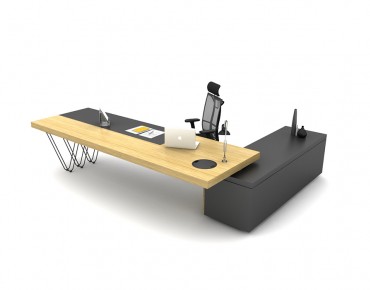 OLGA BUREAU DE DIRECTION