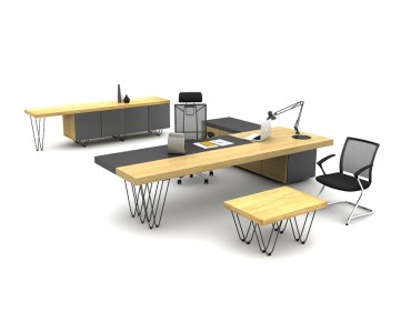 OLGA BUREAU DE DIRECTION